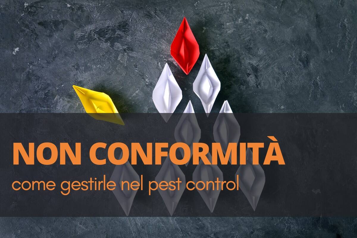non conformità nel pestcontrol